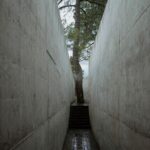 Casa cueva. Casa enterrada. HW Studio | hw studio roomdiseno15