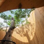 templo del café, IDIN Architects, Nana Coffee Roasters, Harudot | harudot9