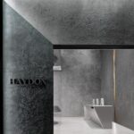 Agujeros negros. Haydon Beauty. Tomshi and Associates | haydon13