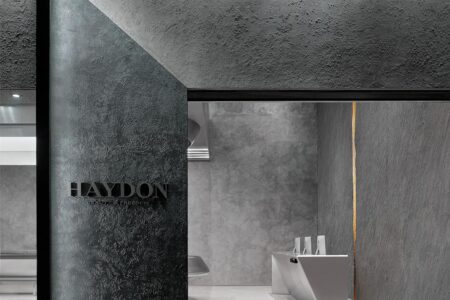 Agujeros negros. Haydon Beauty. Tomshi and Associates | haydon13