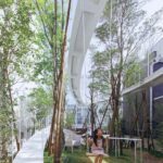 House open to the city. Studio Velocity. Arquitectura japonesa | house_open_to_the_city studio_velocity roomdiseno5