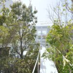 House open to the city. Studio Velocity. Arquitectura japonesa | house_open_to_the_city studio_velocity roomdiseno8