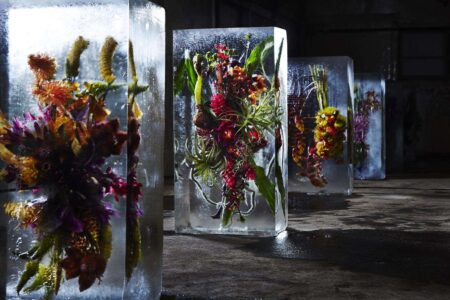 Arte floral. Iced Flower. Azuma Makoto | iced flower01
