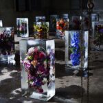 Arte floral. Iced Flower. Azuma Makoto | iced flowes02
