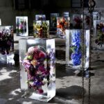 Iced Flowers. El arte floral de Azuma Makoto | iced_flowers azuma_makoto roomdiseno