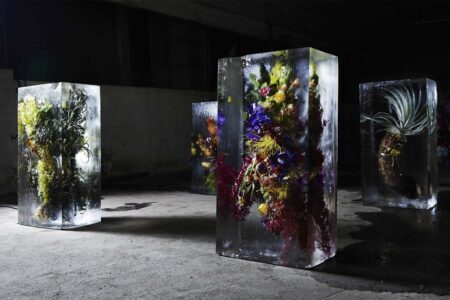 Iced Flowers. El arte floral de Azuma Makoto | iced_flowers azuma_makoto roomdiseno3