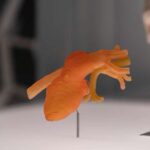 Impresora 3D. Impresión 3D. CaixaForum | impresion 3d y salud
