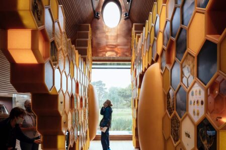 Somerset. casa para abejas. Invisible Studio | invisible studio roomdiseno3