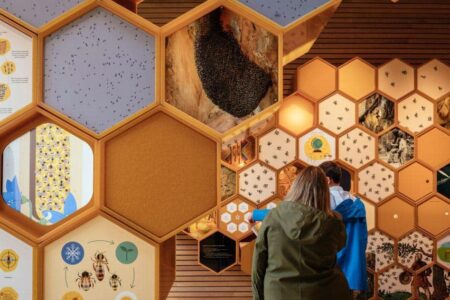 Beezantium. Casa para abejas. Invisible Studio | invisible studio roomdiseno6