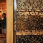 Beezantium. Casa para abejas. Invisible Studio | invisible studio roomdiseno8