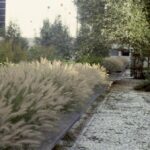 Jardins de l'Arche. Gilles Clément. Paisajista francés. El jardín en movimiento | jardins_de_larche gilles_clement roomdiseno3