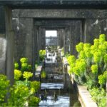 Jardins du Tiers-Paysage. Gilles Clément. Paisajista francés. El jardín en movimiento | jardins_du_tiers_paysage gilles_clement roomdiseno2