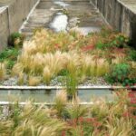 Jardins du Tiers-Paysage. Gilles Clément. Paisajista francés. El jardín en movimiento | jardins_du_tiers_paysage gilles_clement roomdiseno9