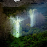 © Javier Riera. Arte y naturaleza | javier_riera roomdiseno3