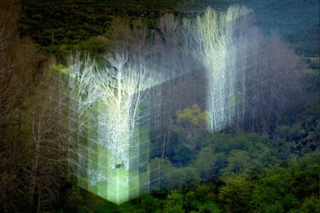 © Javier Riera. Arte y naturaleza | javier_riera roomdiseno3