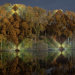 © Javier Riera. Arte y naturaleza | javier_riera roomdiseno5