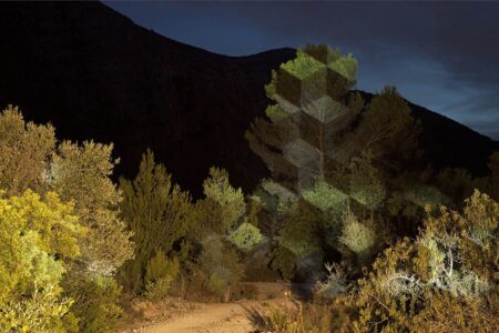 © Javier Riera. Arte y naturaleza | javier_riera roomdiseno6
