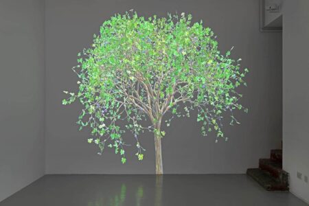 Judy Crook. Jennifer Steinkamp. Londres. 2013 Foto: © Marcus Leith. Arte y naturaleza | jennifer steinkamp 08