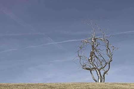 Ferment. Roxy Paine. Paisajes artificiales. Land Art | jolynne martinez ferment