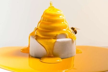 Joy of Bees. Bompas & Parr | joyofbees_bp3_honey_hive2photographybyaddiechinnweb_1600_1000_85