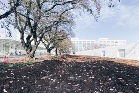 Junya Ishigami. KAIT. arquitecto japonés | kaith plaza roomdiseno7