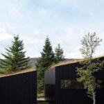 cubierta vegetal. casa en Islandia | krads roomdiseno1