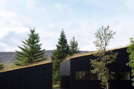 cubierta vegetal. casa en Islandia | krads roomdiseno1