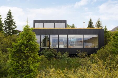 cubierta vegetal. casa en Islandia | krads roomdiseno18