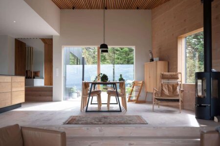 cubierta vegetal. casa en Islandia | krads roomdiseno2