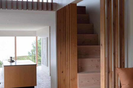cubierta vegetal. casa en Islandia | krads roomdiseno20