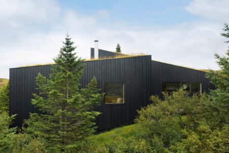 cubierta vegetal. casa en Islandia | krads roomdiseno9