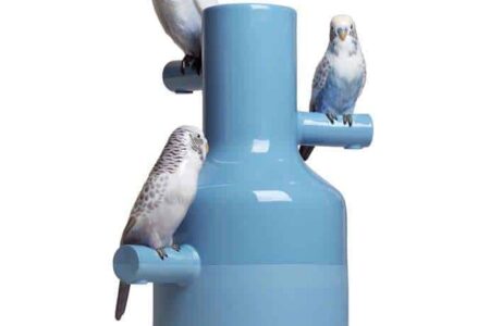 Parrots party. Lladró. Inma Bermúdez. Premio Nacional de Diseño | lladro parrots party