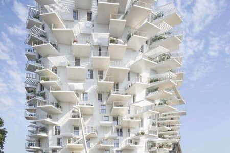 Museo ICO. vivienda colectiva. amaneceres domésticos | l_arbre blanc c sergio grazia
