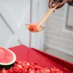 Food design. Laila Gohar | laila gohar