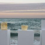 Food design. Laila Gohar | laila gohar12