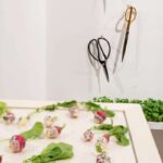 Food design. Laila Gohar | laila gohar13