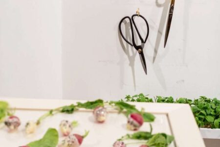 Food design. Laila Gohar | laila gohar13