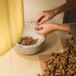 Food design. Laila Gohar | laila gohar17