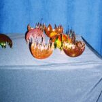 Food design. Laila Gohar | laila gohar21