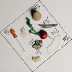 Food design. Laila Gohar | laila gohar24