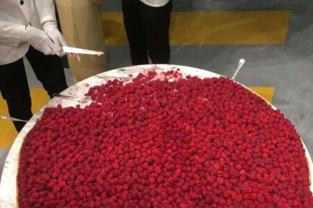 Food design. Laila Gohar | laila gohar7