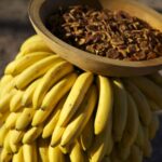 Food design. Laila Gohar | laila gohar8
