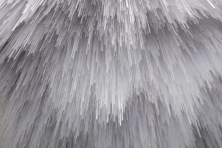 Clínica dermatológica. Edward Burtynsky, | leckie studio