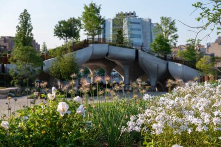 Little Island. Heatherwick Studio. Arquitectura en Nueva York. Paisajismo urbano | little_island heatherwick_studio timothy_schenck roomdiseno10