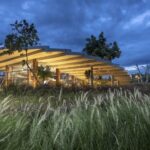 café contemporáneo, oasis circular, Pomelo Amphawa Café, looklen architects | looklen architects7