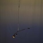 Lotus Led. Max Milas Serra. Diseñadores españoles. Rising Talents. Maison & Objet | lotusled