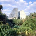 Lucille Halsell Conservatory. San Antonio, Estados Unidos. Emilio Ambasz. Arquitectura verde. Arquitectura sostenible | lucille_halsell emilio_ambasz roomdiseno2