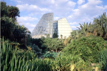 Lucille Halsell Conservatory. San Antonio, Estados Unidos. Emilio Ambasz. Arquitectura verde. Arquitectura sostenible | lucille_halsell emilio_ambasz roomdiseno2