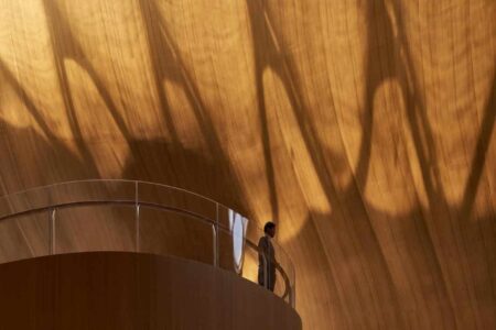 MAD Architects. Palacio de congresos. Formas orgánicas | mad architects roomdiseno10