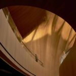 MAD Architects. Palacio de congresos. Formas orgánicas | mad architects roomdiseno11